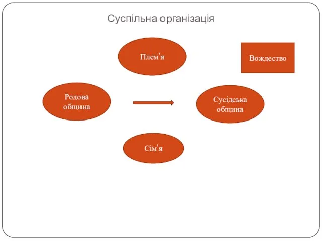 Суспільна організація Плем'я Сусідська община Сім'я Родова община Вождество