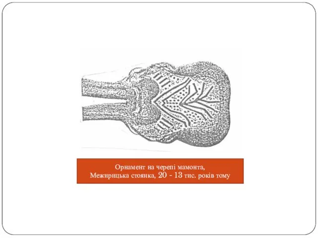 Орнамент на черепі мамонта, Межирицька стоянка, 20 - 13 тис. років тому
