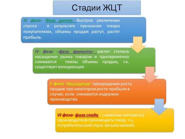 Стадии ЖЦТ