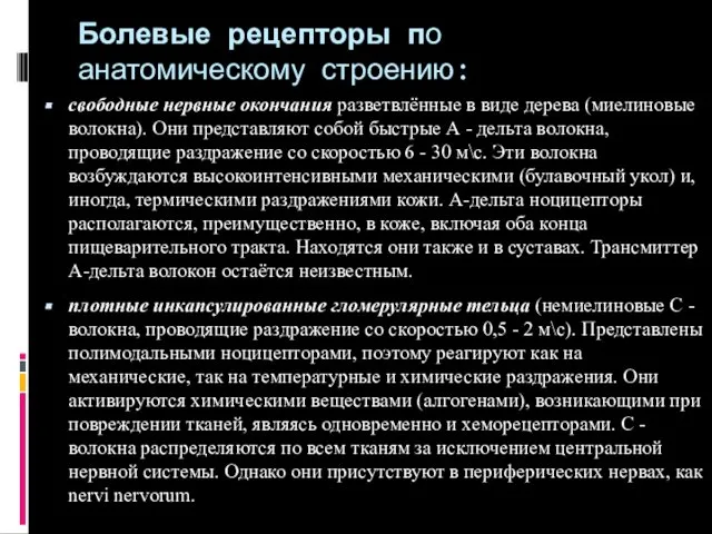 Болевые рецепторы по анатомическому строению: свободные нервные окончания разветвлённые в виде