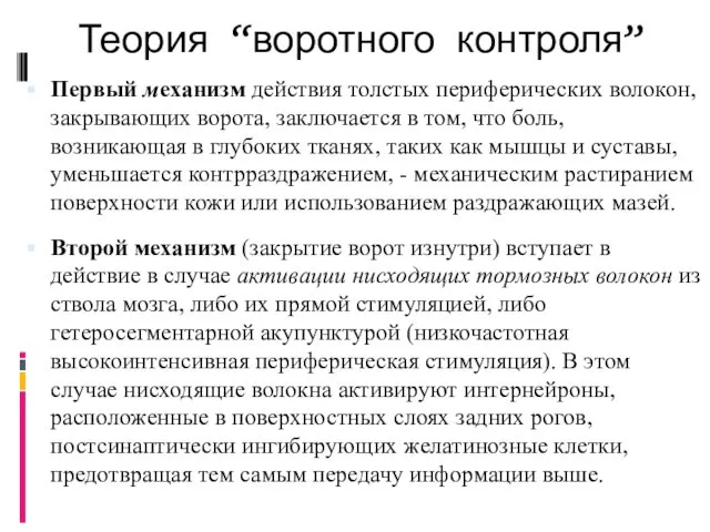 Теория “воротного контроля” Первый механизм действия толстых периферических волокон, закрывающих ворота,