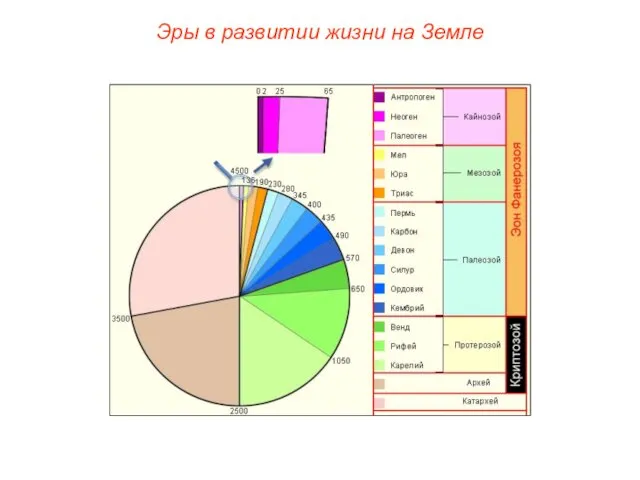 Эры в развитии жизни на Земле