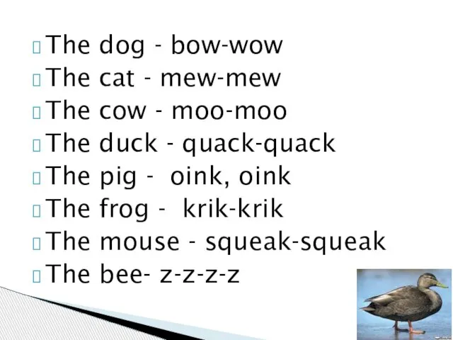 The dog - bow-wow The cat - mew-mew The cow -