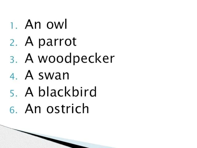 An owl A parrot A woodpecker A swan A blackbird An ostrich