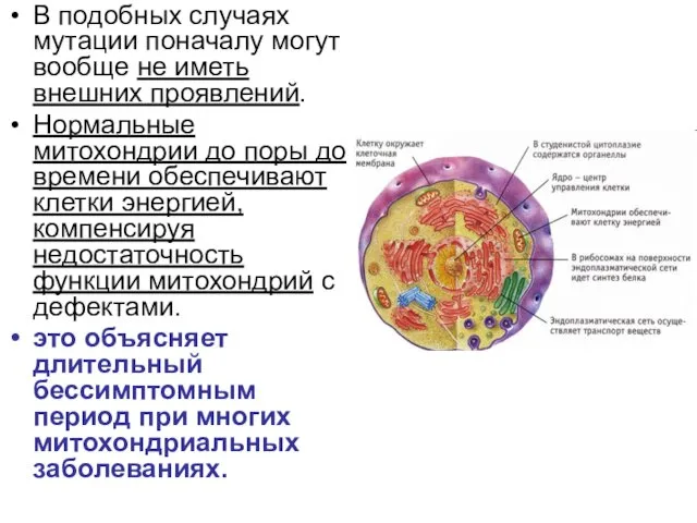 В подобных случаях мутации поначалу могут вообще не иметь внешних проявлений.