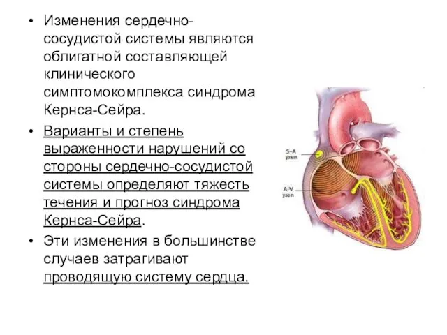 Изменения сердечно-сосудистой системы являются облигатной составляющей клинического симптомокомплекса синдрома Кернса-Сейра. Варианты