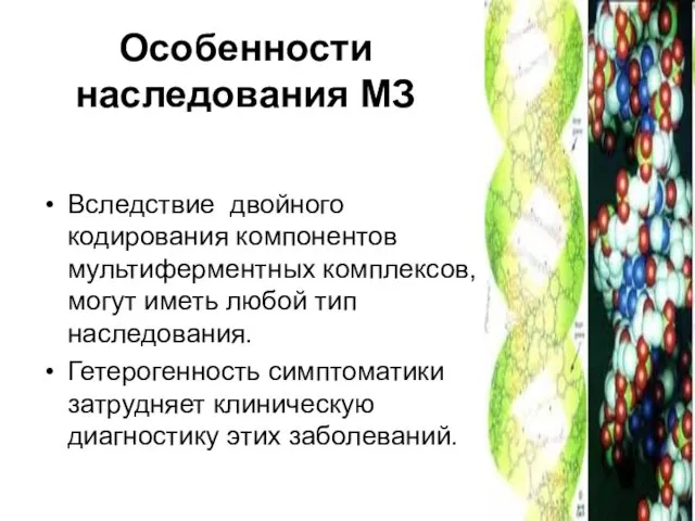 Особенности наследования МЗ Вследствие двойного кодирования компонентов мультиферментных комплексов, могут иметь