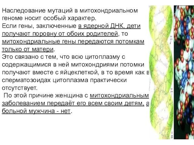 Наследование мутаций в митохондриальном геноме носит особый характер. Если гены, заключенные