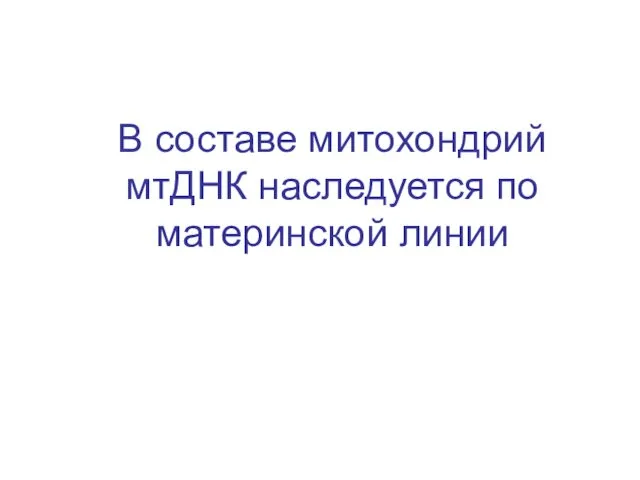 В составе митохондрий мтДНК наследуется по материнской линии