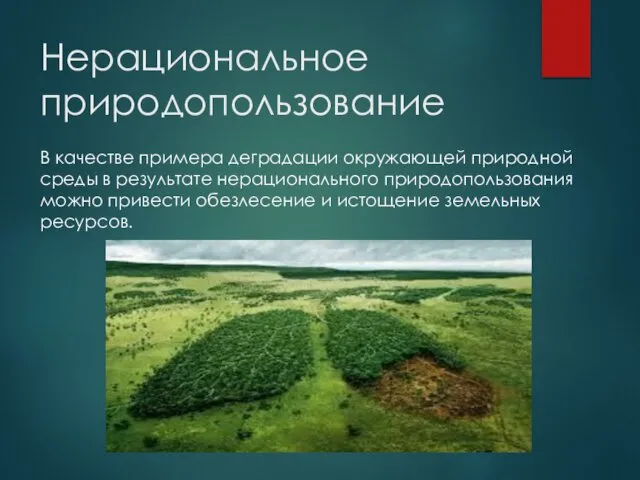 Нерациональное природопользование В качестве примера деградации окружающей природной среды в результате