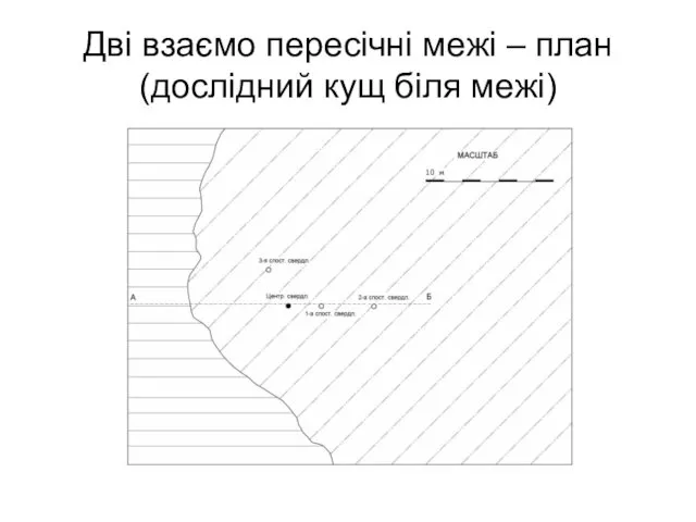 Дві взаємо пересічні межі – план (дослідний кущ біля межі)