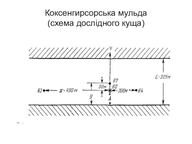 Коксенгирсорська мульда (схема дослідного куща)