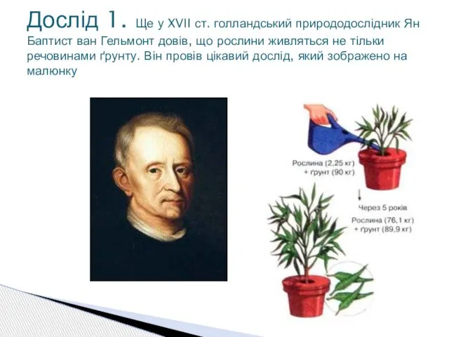 Дослід 1. Ще у XVII ст. голландський природодослідник Ян Баптист ван