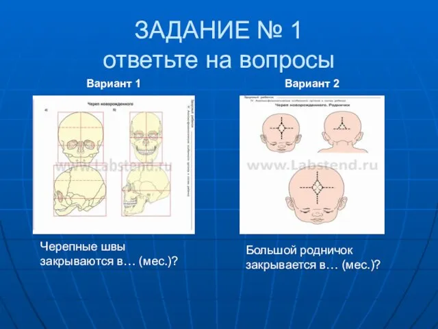 ЗАДАНИЕ № 1 ответьте на вопросы Вариант 1 Вариант 2 Черепные