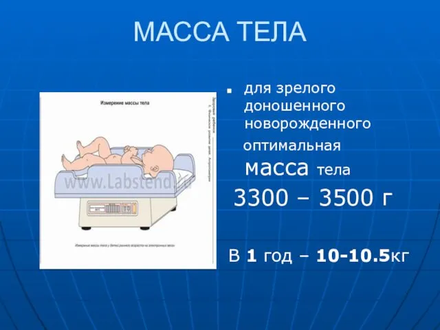 МАССА ТЕЛА для зрелого доношенного новорожденного оптимальная масса тела 3300 –