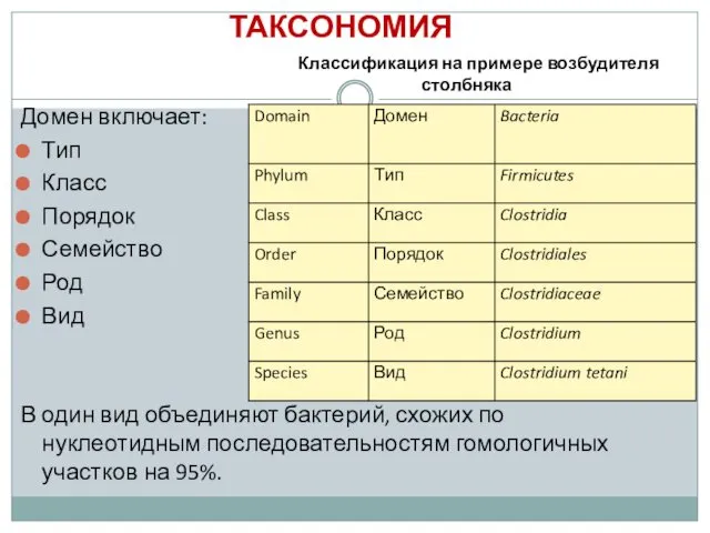 ТАКСОНОМИЯ Домен включает: Тип Класс Порядок Семейство Род Вид В один