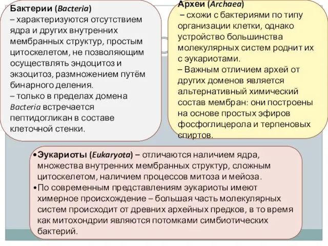 Бактерии (Bacteria) – характеризуются отсутствием ядра и других внутренних мембранных структур,