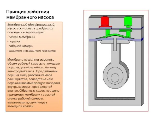 Принцип действия мембранного насоса Мембранный (диафрагменный) насос состоит из следующих основных