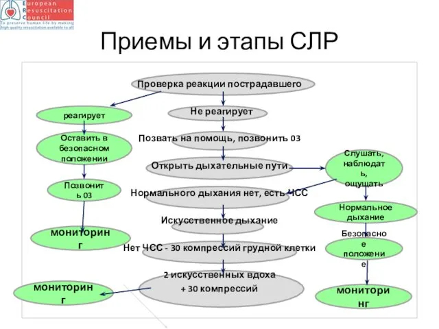 Приемы и этапы СЛР Проверка реакции пострадавшего Не реагирует Позвать на