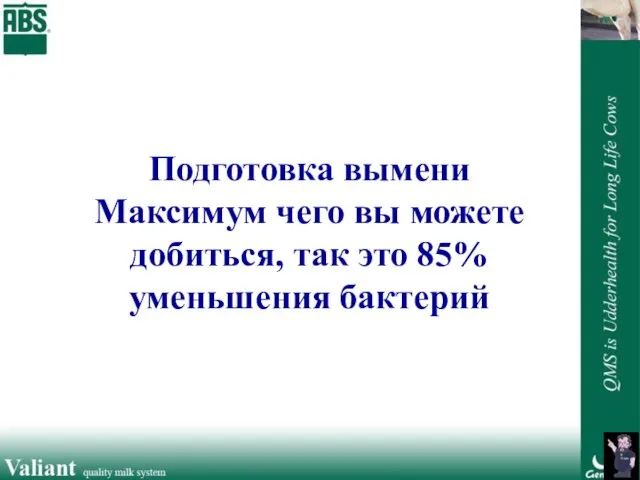 Подготовка вымени Максимум чего вы можете добиться, так это 85% уменьшения бактерий