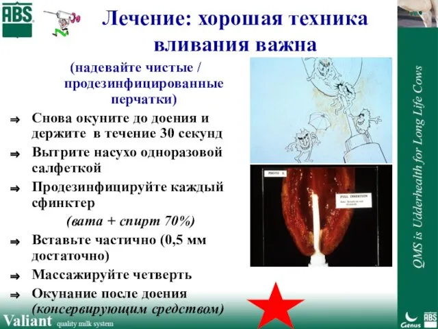 (надевайте чистые / продезинфицированные перчатки) Снова окуните до доения и держите