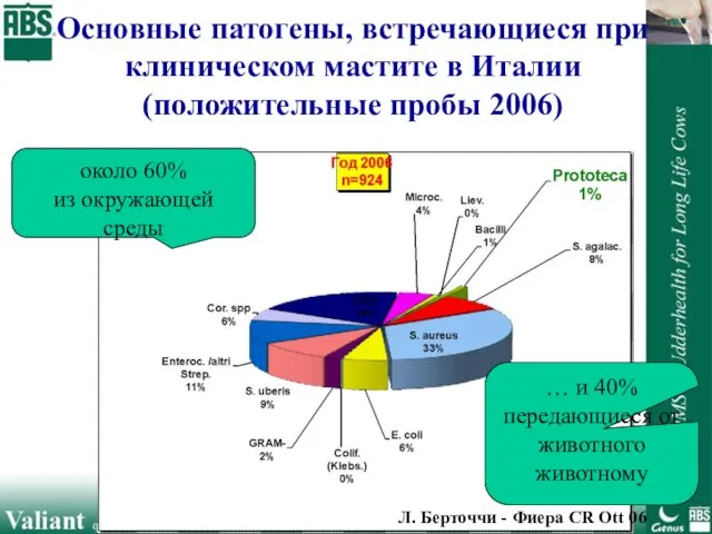 Основные патогены, встречающиеся при клиническом мастите в Италии (положительные пробы 2006)