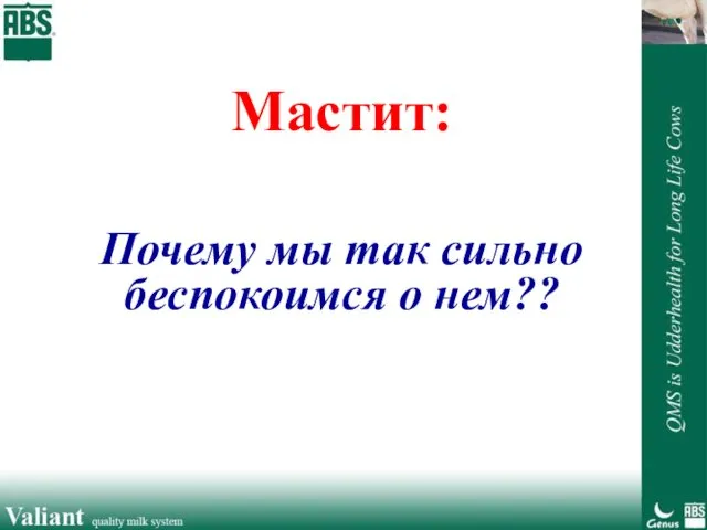 Мастит: Почему мы так сильно беспокоимся о нем??