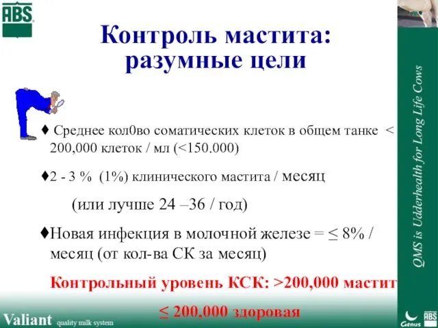 Контроль мастита: разумные цели Среднее кол0во соматических клеток в общем танке