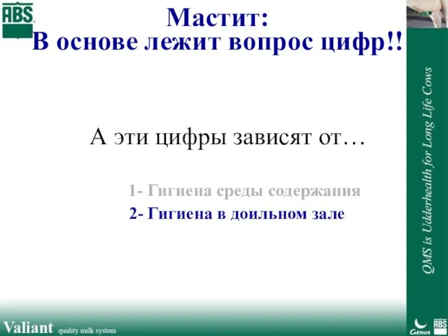 Мастит: В основе лежит вопрос цифр!! А эти цифры зависят от…