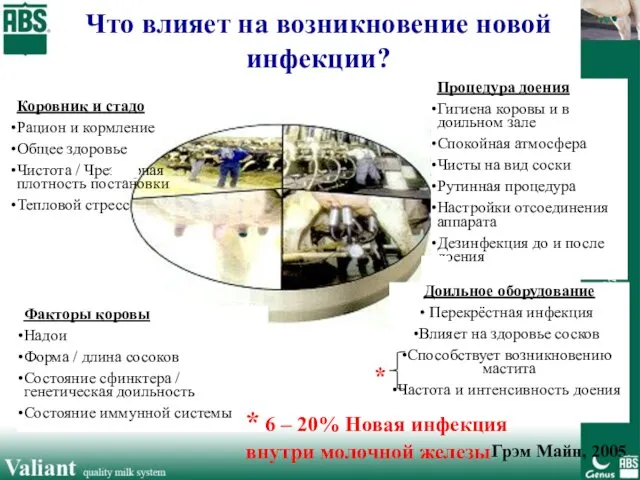 Грэм Майн, 2005 Что влияет на возникновение новой инфекции? Коровник и