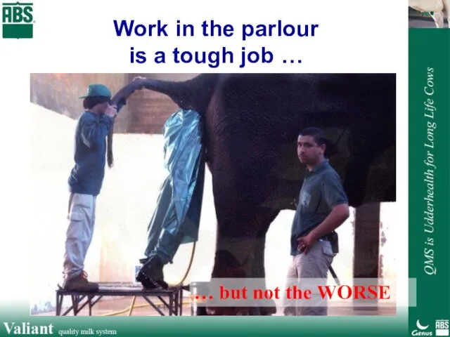 Work in the parlour is a tough job … … but not the WORSE