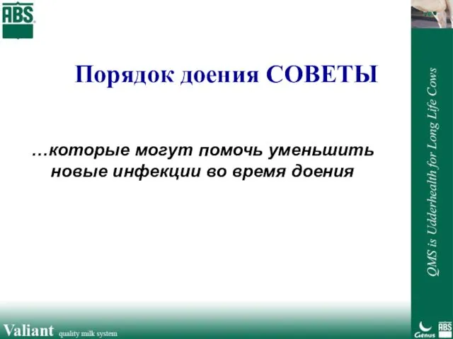 …которые могут помочь уменьшить новые инфекции во время доения Порядок доения СОВЕТЫ