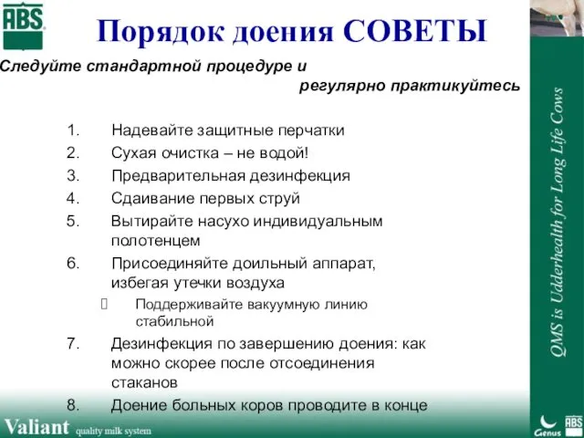 Надевайте защитные перчатки Сухая очистка – не водой! Предварительная дезинфекция Сдаивание