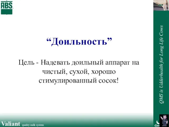 “Доильность” Цель - Надевать доильный аппарат на чистый, сухой, хорошо стимулированный сосок!