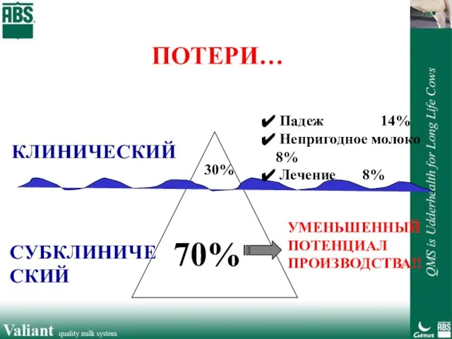 ПОТЕРИ… 30% КЛИНИЧЕСКИЙ СУБКЛИНИЧЕСКИЙ 70% Падеж 14% Непригодное молоко 8% Лечение 8% УМЕНЬШЕННЫЙ ПОТЕНЦИАЛ ПРОИЗВОДСТВА!!