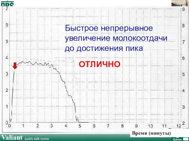 Быстрое непрерывное увеличение молокоотдачи до достижения пика ОТЛИЧНО Время (минуты)