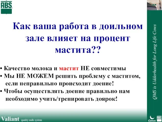 Как ваша работа в доильном зале влияет на процент мастита?? Качество