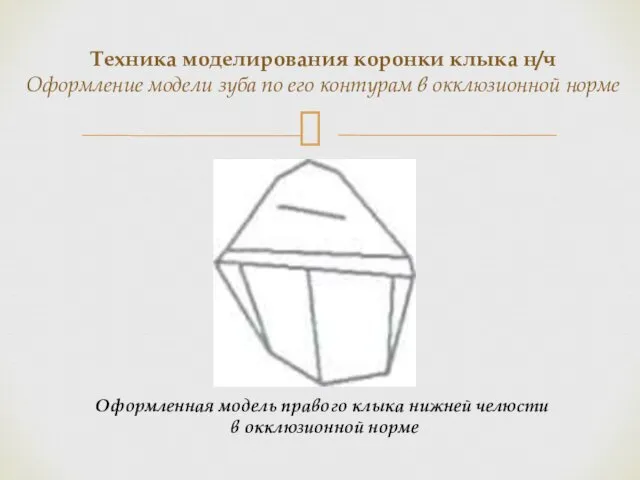 Техника моделирования коронки клыка н/ч Оформление модели зуба по его контурам