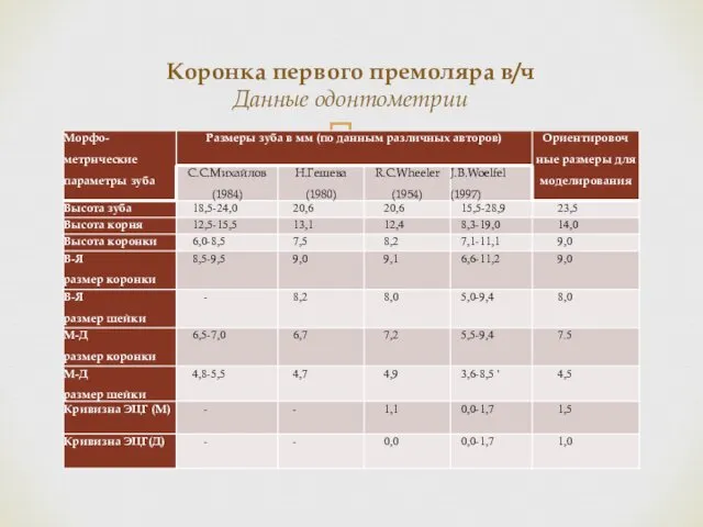 Коронка первого премоляра в/ч Данные одонтометрии