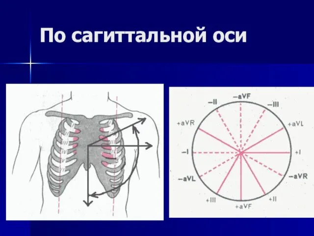 По сагиттальной оси