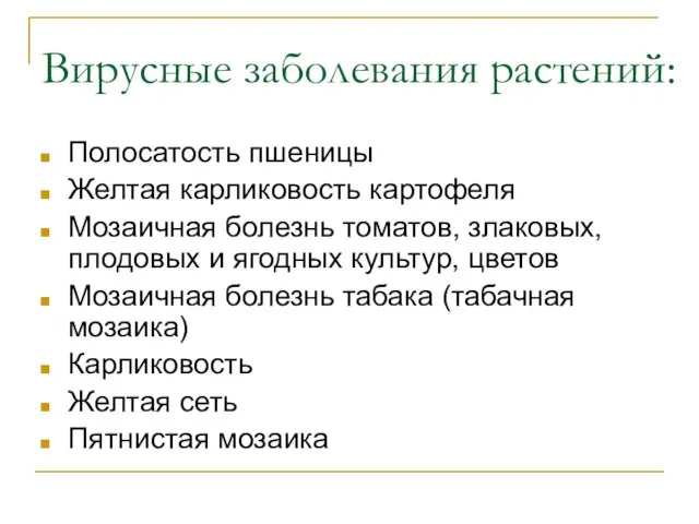 Вирусные заболевания растений: Полосатость пшеницы Желтая карликовость картофеля Мозаичная болезнь томатов,