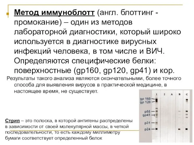 Метод иммуноблотт (англ. блоттинг - промокание) – один из методов лабораторной