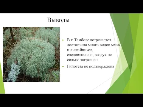 Выводы В г. Тамбове встречается достаточно много видов мхов и лишайников,