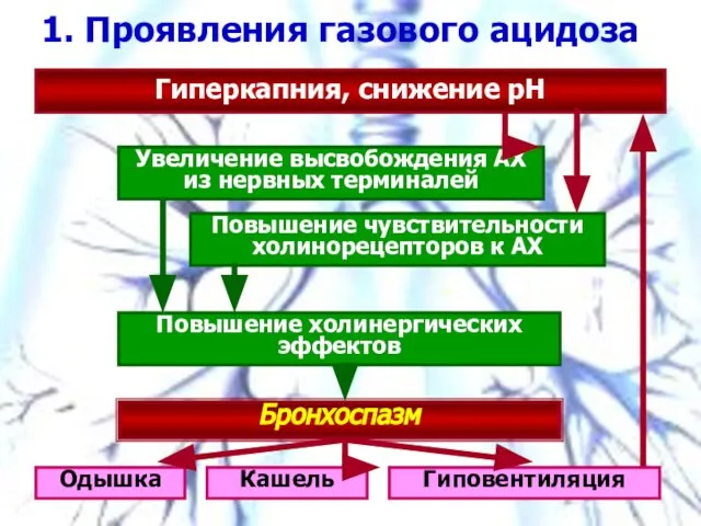 1. Проявления газового ацидоза Гиперкапния, снижение рН Увеличение высвобождения АХ из