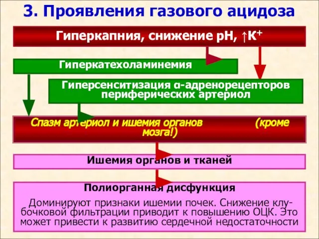 3. Проявления газового ацидоза Гиперкапния, снижение рН, ↑К+ Гиперкатехоламинемия Спазм артериол