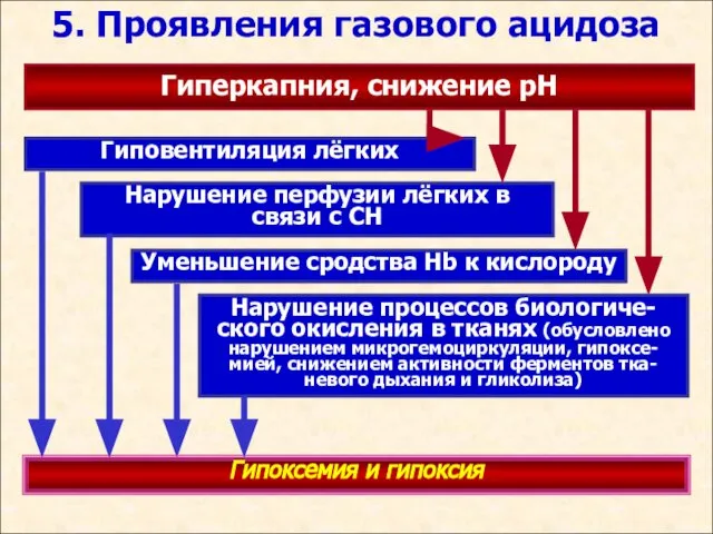 5. Проявления газового ацидоза Гиперкапния, снижение рН Гиповентиляция лёгких Нарушение перфузии