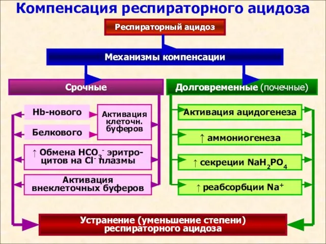 Компенсация респираторного ацидоза