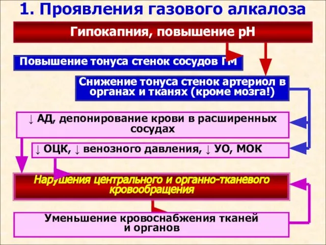 1. Проявления газового алкалоза Гипокапния, повышение рН Снижение тонуса стенок артериол