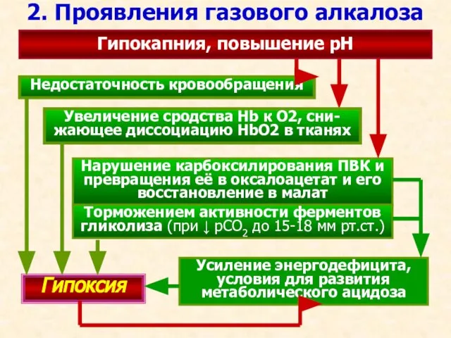 2. Проявления газового алкалоза Гипокапния, повышение рН Недостаточность кровообращения Гипоксия Усиление