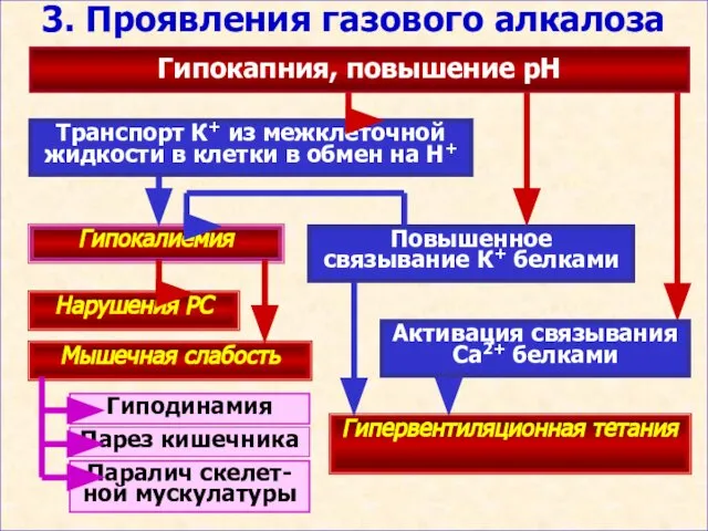 3. Проявления газового алкалоза Гипокапния, повышение рН Транспорт К+ из межклеточной